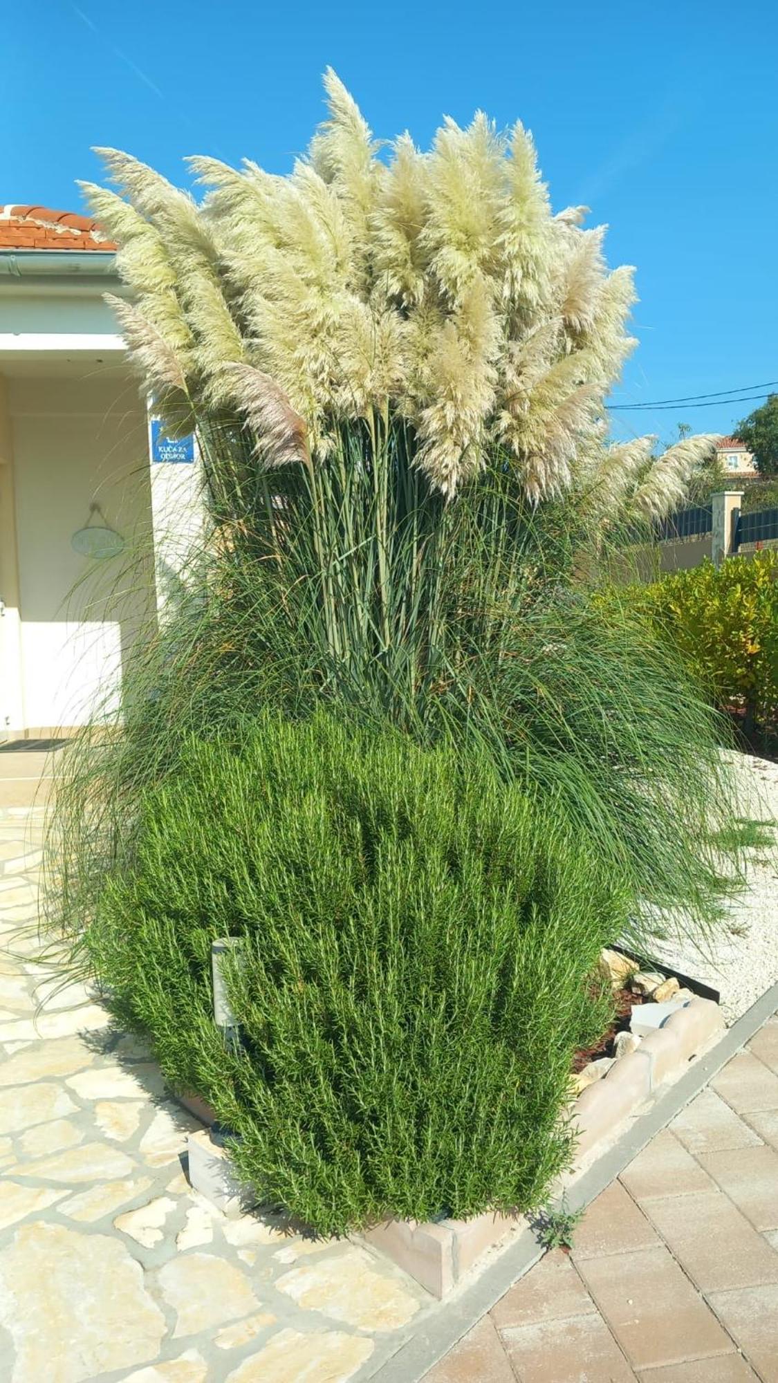 Villa Mir Pridraga מראה חיצוני תמונה